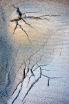 KATHY'S TENSET, 2014 portfolio