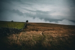 DSCF4359