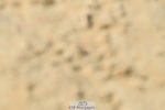 251004A-122114-01005