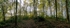 Lads-Head-Wood-panorama-Lowick