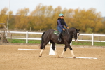 SBM_001015