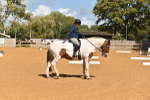 SBM_05581