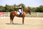 SBM_003715