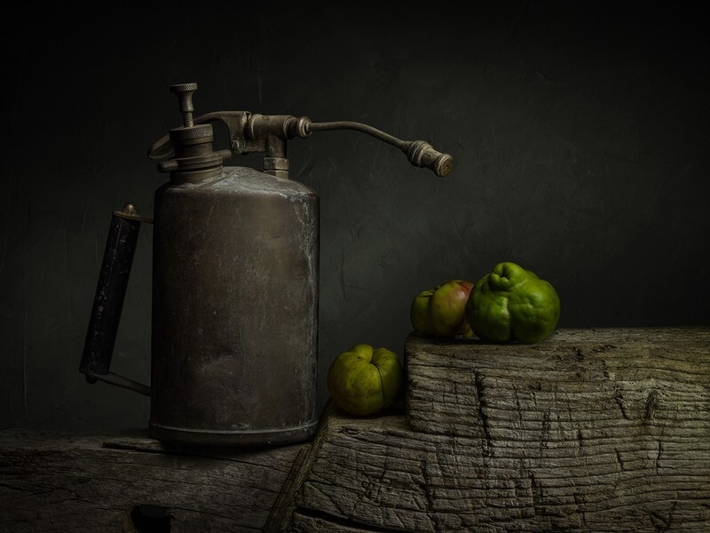 Vintage Garden Sprayer
