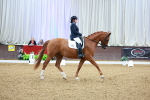 SBM_002905