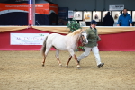 SBM_02296