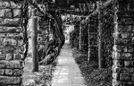 Arched Walkway BW