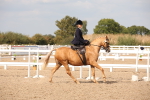 SBM_06720