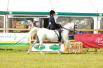 SBM_13145
