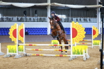 SBM_000774