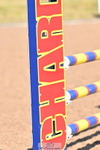 240608A-170850-03104