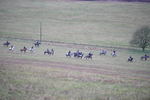 WJ5_6514