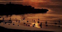 Landscapes portfolio