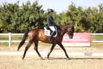 SBM_006741