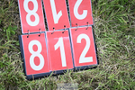 240825X-152952-35453