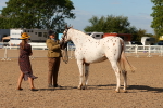 SBM_16985
