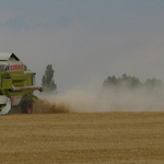 Harvest time