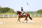 SBM_009026