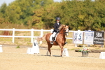 SBM_017570