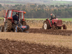 Lauderdale Ploughing Society - Ploughing match 26-11-22 portfolio