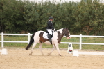SBM_00436