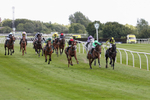 Race 5 portfolio