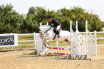 SBM_000733