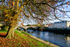 Autumn Totnes 2