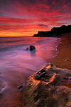 z1469 After Sunset, Orchard Bay