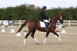 SBM_022089