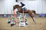 SBM_007697