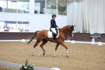 SBM_018780