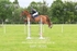 BPP_9096