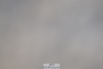 250125-120200-00386