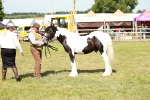 SBM_08646