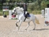 BPP_1470