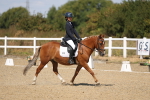 SBM_013733