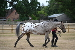 WJ6_7823