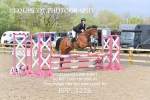 BPP_3238