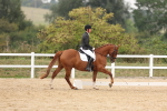 SBM_01551