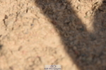 230906A-124552-00313