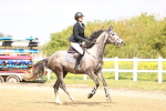 SBM_001784