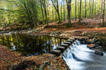Autumn at Tollymore - The Stepping Stones