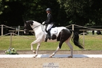 123-Michelle_Wallis-Alvescot_Winning_Mood portfolio