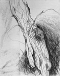 Bogland Matter 17, 16cm x 20cm