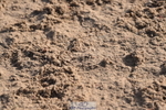 231015A-110000-07370