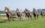 Guernsey Race Club Horse Racing 2018-1
