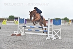 BPP_6373