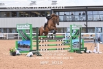 BPP_5018