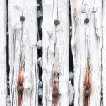 PILINGS, SPIKES AND STONES - KNIGHT'S COVE